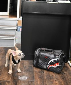 Alternative view of 3AM PET CARRIER