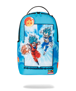DRAGON BALL Z SUPER SAIYAN BLUE GOKU AND VEGETA
