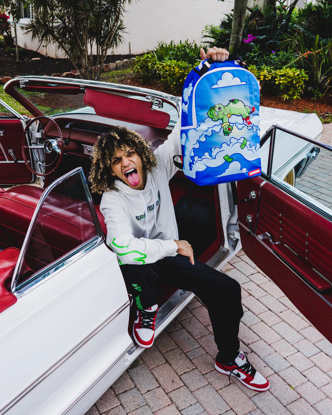 MONEY DREAMS BACKPACK (DLXR) - Image 3