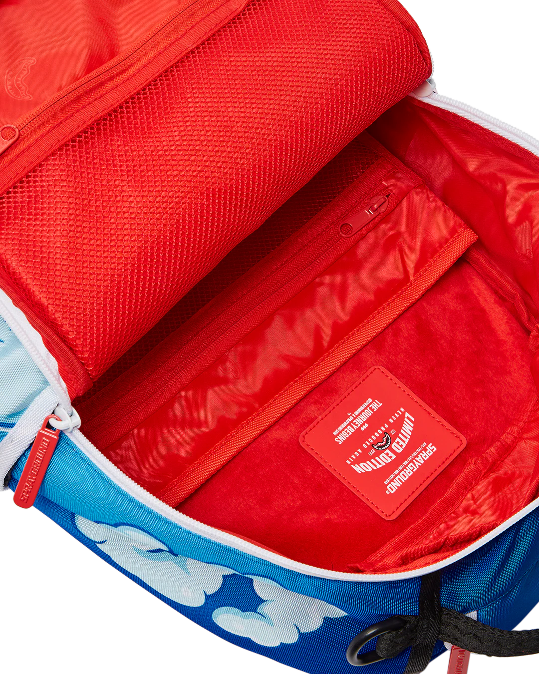 MONEY DREAMS BACKPACK (DLXR) - Image 10