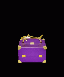 SHARKS OF THE GOLD OCEAN JEWELRY CASE