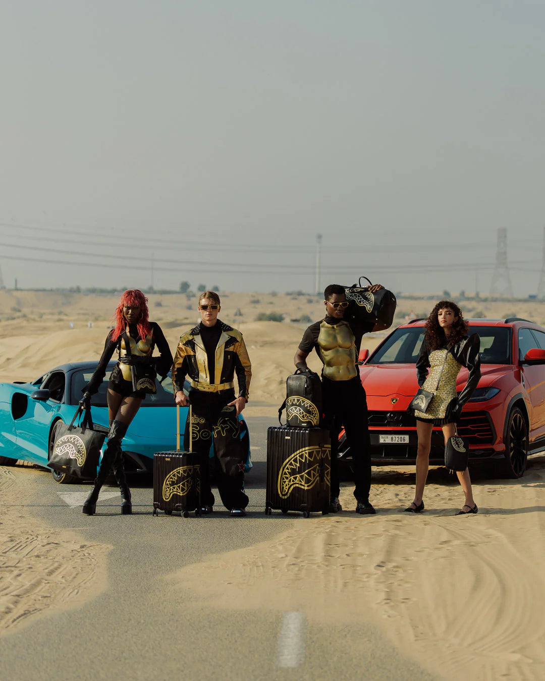 GOLD FANG FULL-SIZE LUGGAGE - Image 11