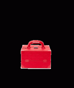 SOULJA BOY JEWELRY CASE